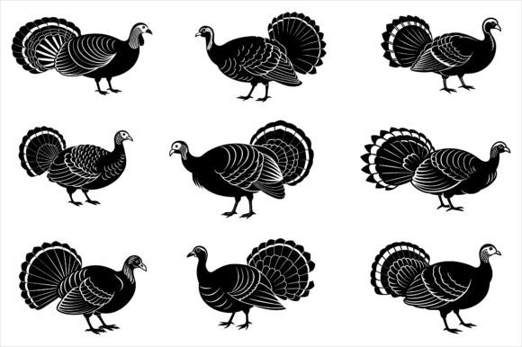 Turkey Vector Illustration for Embroidery